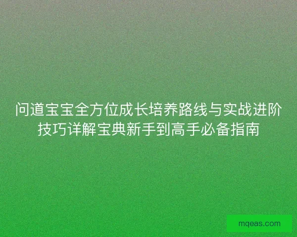 问道宝宝全方位成长培养路线与实战进阶技巧详解宝典新手到高手必备指南