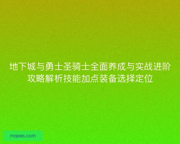 地下城与勇士圣骑士全面养成与实战进阶攻略解析技能加点装备选择定位