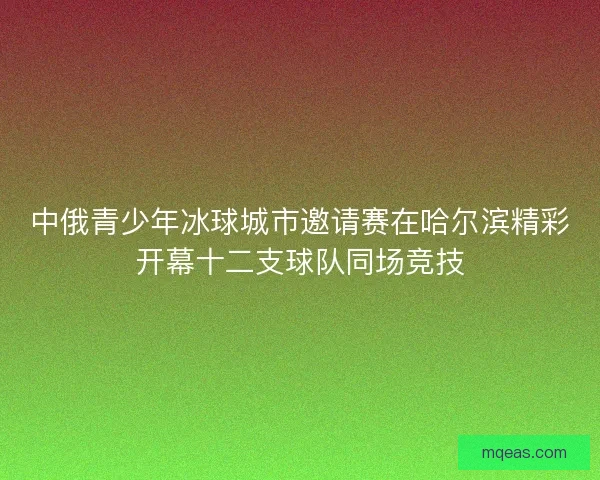 中俄青少年冰球城市邀请赛在哈尔滨精彩开幕十二支球队同场竞技