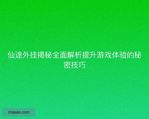 仙途外挂揭秘全面解析提升游戏体验的秘密技巧