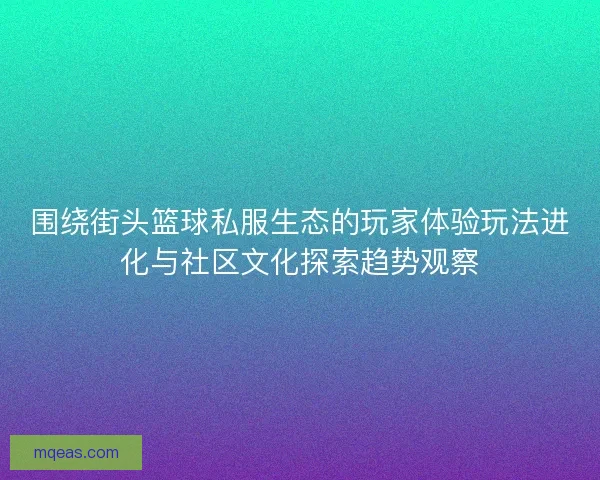 围绕街头篮球私服生态的玩家体验玩法进化与社区文化探索趋势观察